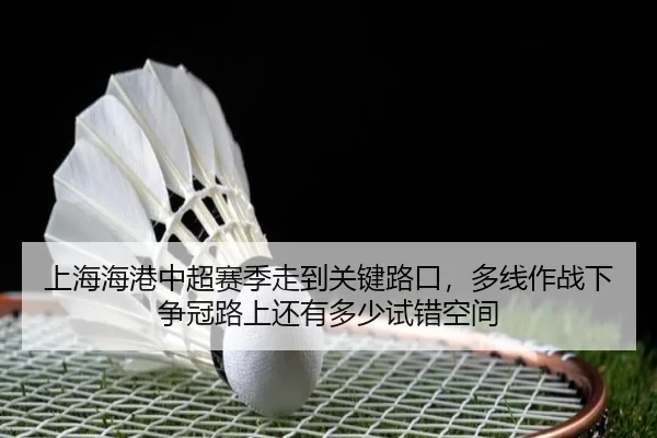 shang-hai-hai-gang-zhong-chao-sai-ji-zou-dao-guan-jian-lu-kou-duo-xian-zuo-zhan-xia-zheng-guan-lu-shang-hai-you-duo-3-784.jpg